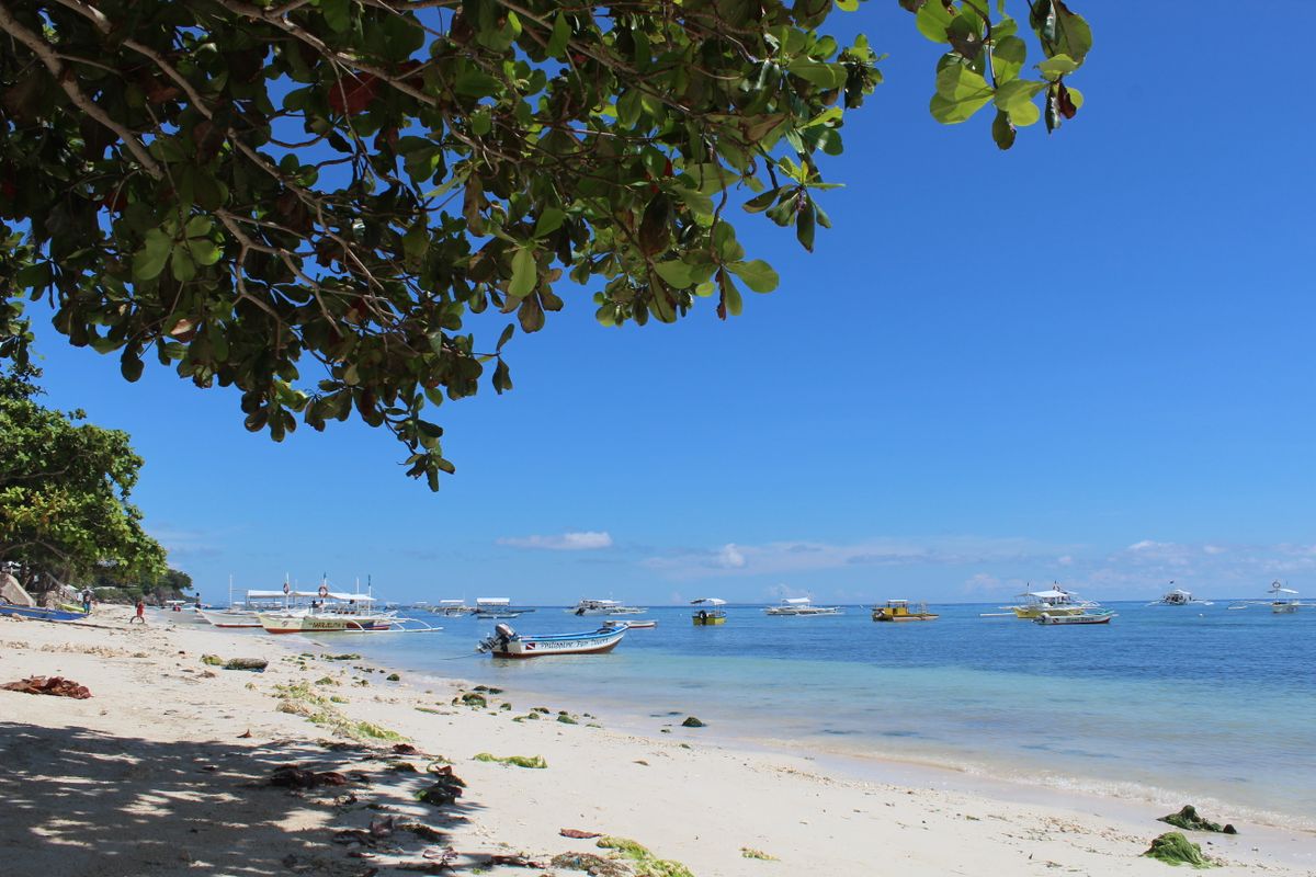 Bancas mouillés devant une plage de Panglao. Photo : Сергей Буймов / Pexels