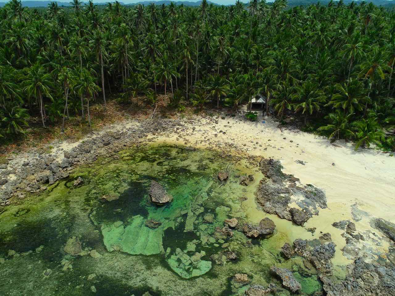 La côte rocheuse de Pilar, à Siargao, et ses bassins découverts par la marée. Photo : Dan Bongcalas / Pexels
