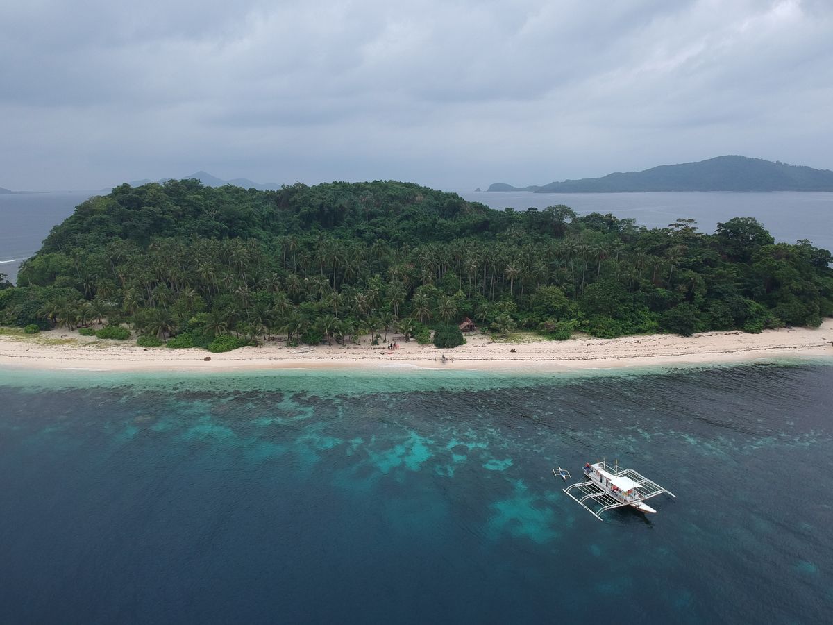 Une île de Linapacan, entre El Nido et Coron. Photo : Jervine / Pexels
