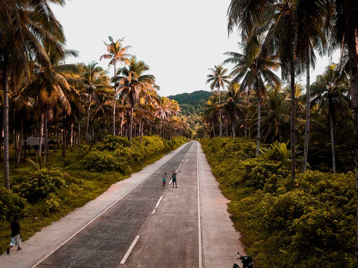 Une route de campagne bordée de cocotiers aux Philippines. Photo : AlexusDave De los Santos / Pexels