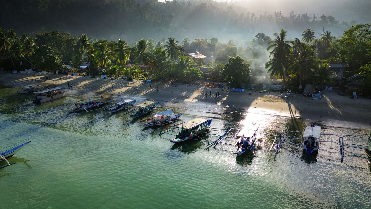 Vue aérienne de la plage de Port Barton à l'aube, bangkas alignées devant les palmiers, San Vicente, Palawan