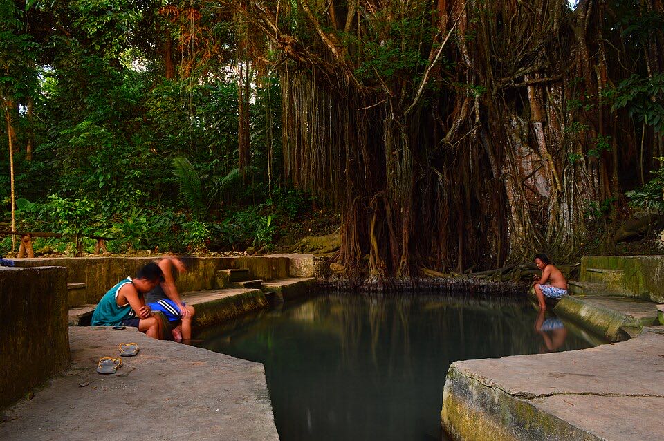 Le vieux balete de Campalanas et son bassin de fish spa, Lazi, Siquijor