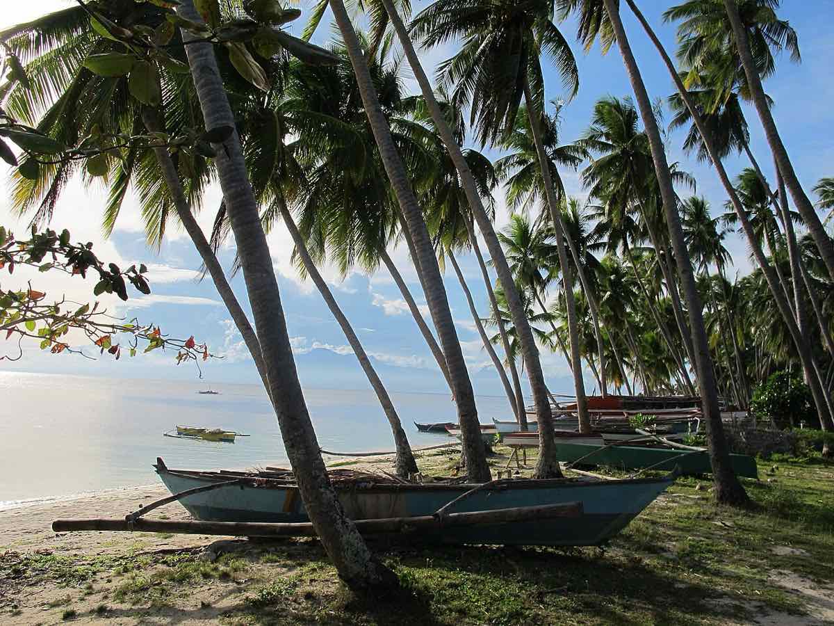 Les cocotiers penchés et les bangkas de Paliton Beach, San Juan, Siquijor