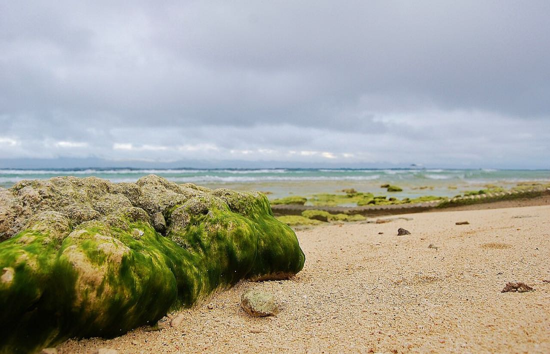 Plage de sable de Basdako, appelée White Beach, à Moalboal